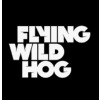 Poland Jobs Expertini Flying Wild Hog Studios